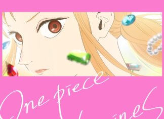 “One Piece: Heroines” Light Novel Gets Anime Adaptation