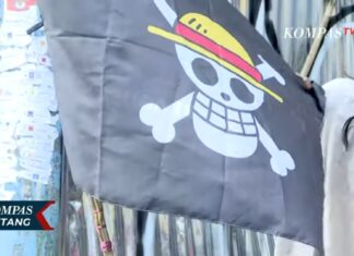Indonesian Public Officers Denounce Pirate Flag from “One Piece” as “Threat to National Unity”