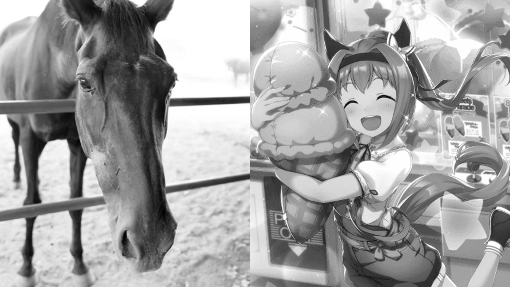 Haru Urara
