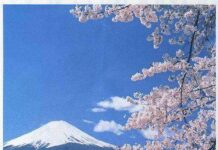 Jepang Tawarkan 10 Ribu Tiket Pesawat Gratis Bagi Warga Asing