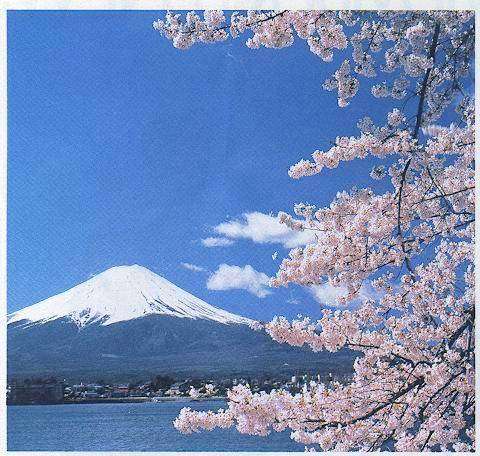 fuji_web