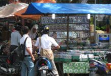 Cerpen: VCD Anime Doni