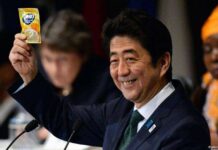 Jepang Janjikan Milyaran Dollar untuk Afrika