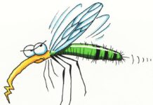 Flashfic: Incident on a Date