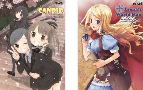 Novel
