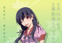 Penanyangan Hanamonogatari Diundur Hingga Agustus 2014