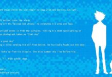 Terungkap Sudah: Digimon Terbaru, Taichi Sudah 17 Tahun