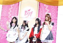 Bandung Japan Festival
