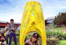 Megumi Igarashi, Seniman Vagina Jepang Ini Dituding Berbuat Cabul