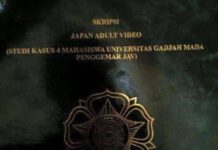 Mahasiswa Ini Bikin Penelitian Tentang Penggemar JAV