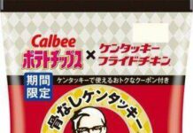 Hanya di Jepang: Keripik Kentang Rasa KFC