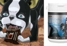 Jojo’s Bizzare Adventure – Stardust Crusaders Hadir Sebagai Permen Karet