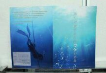 Gainax Akan Membuat Anime Tentang Free-Diving
