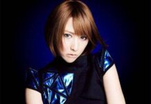 Tahun 2018, Eir Aoi akan Naik Panggung Kembali?