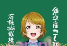 Sedap! Sambut Beras Asli Spesial Karakter Hanayo Love Live!