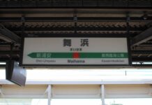 Dekat Tokyo Disneyland, Stasiun di Jepang Ganti Nada Pemberangkatan Dengan Lagu Frozen