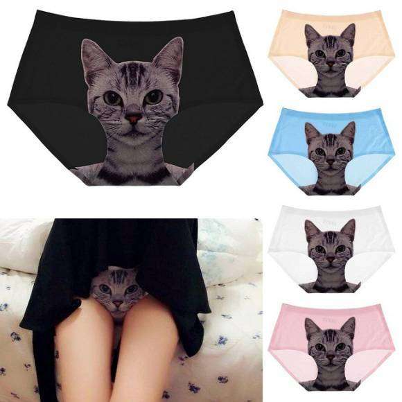 cat-pantsu-1