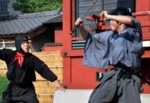 Aktor Daigo Kashino Tewas Tertusuk Pedang Samurai