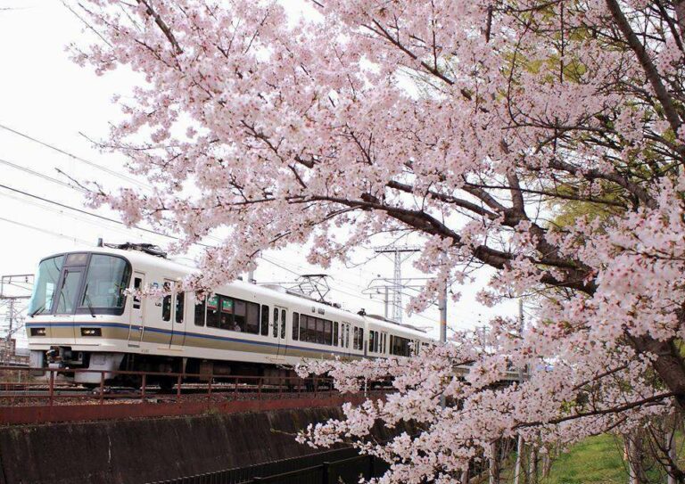 KRL seri 221 di jalur JR Sagano | Foto oleh: Taketo Nobash