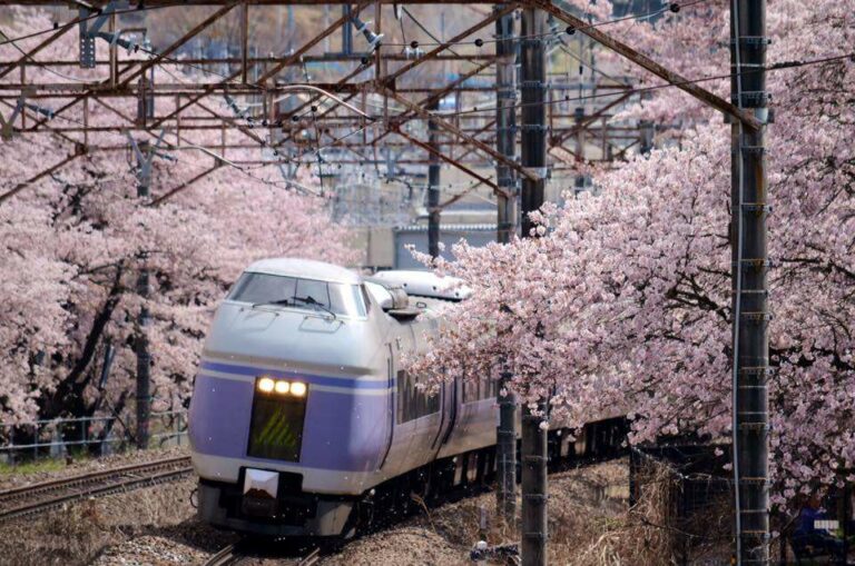 Foto oleh: Hiroshi Mitamura‎