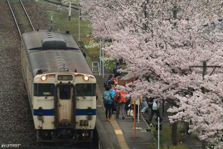 Foto oleh: Masatoshi Fujita