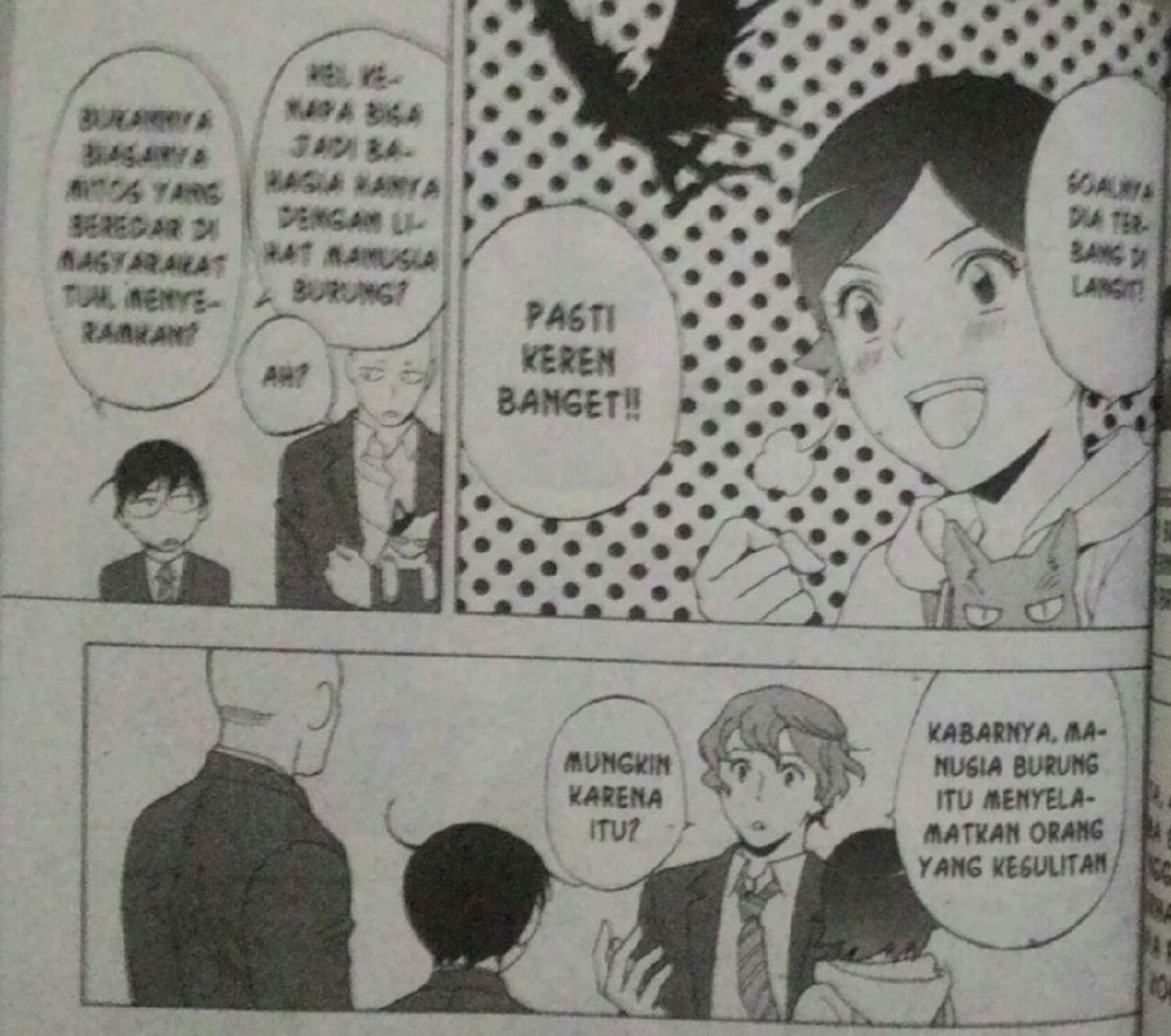 Birdmen rumor