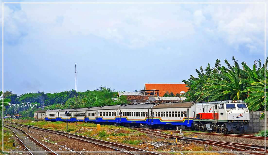 WhatsApp Image 2016-08-13 at 00.30.25