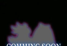 Gainax West Umumkan Proyek Baru Panty & Stocking with Garterbelt