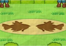 Splash! Magikarp: Sambut Kehadiran Game Ponsel Pokemon Terbaru