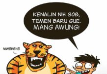 Cihuy! Si Juki Bakal Kedatangan Macan Lho!