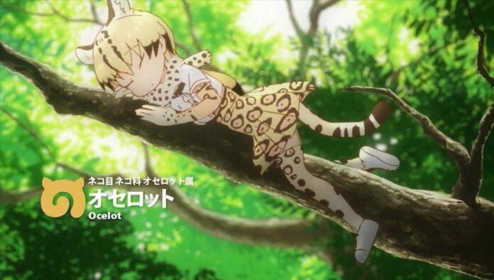 Ocelot