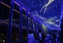 Siap Sambut Musim Panas Tahun Ini, Menara Tokyo Dihujani Bintang – Bintang Indah