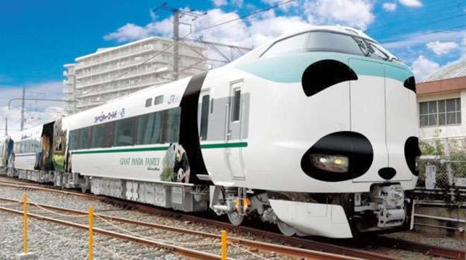 panda jr west KRL bertema panda