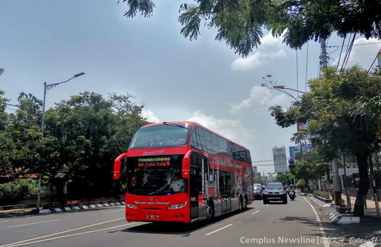 Bus wisata Bus wisata