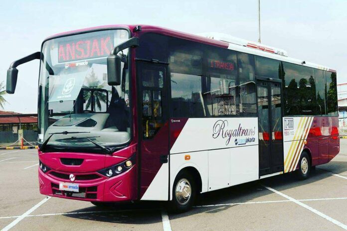 royal trans