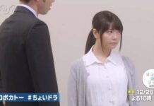 Ayana Taketatsu Main Drama! Siap Dirilis Akhir 2017!