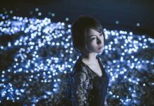 Kembali Berkarir, Eir Aoi akan Menggelar Konser Tunggal Agustus 2018!
