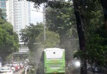 Bus Transjakarta Tabrak Median Jalan Di Koridor 8 Menabrak Median Jalan Di Koridor 8