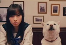 Kai, Si Anjing Hokkaido Maskot SoftBank Tutup Usia pada 16 Tahun