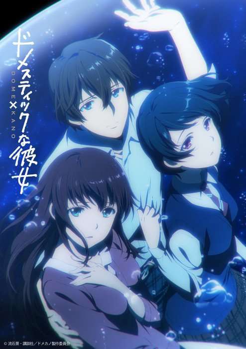 domestic na kanojo