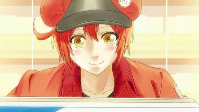 hataraku-saibou-F