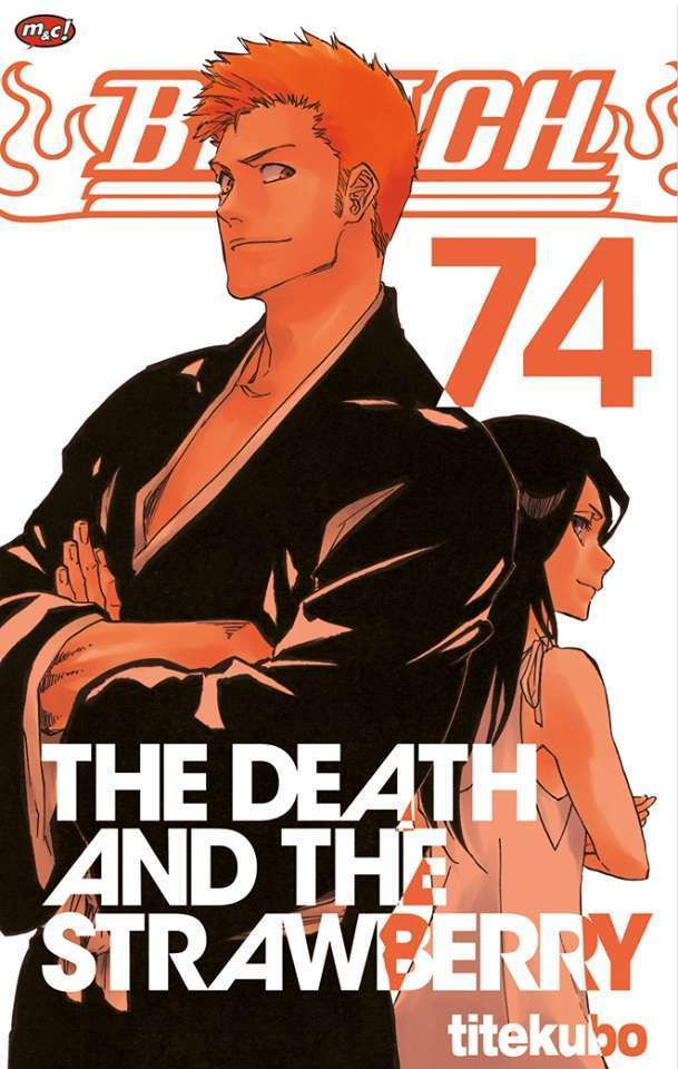 bleach anime bleach