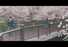 Desember 2018, Film Live-Action I Want to Eat Your Pancreas akan Diputar di Pekan Sinema Jepang 2018!
