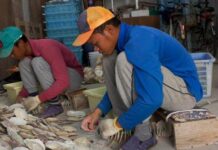 tenaga kerja asing di jepang