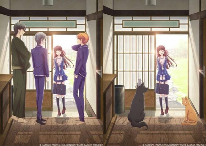 fruits basket