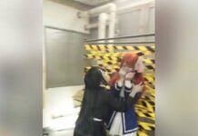 Legendaris! Intip Aksi Cosplayer Luffy DKK Bercosplay Gadis-Gadis “Franchouchou” Zombie Land Saga!