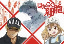 Belajar Makin Asik: Anime Hataraku Saibou! Season 2 Diumumkan! Anime Htaraku Saibou! Season 2