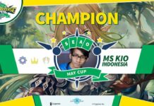 Indonesia Kembali Memenangkan Turnamen Shadowverse Open Se-Asia Tenggara dan Oseania!