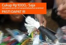 Utsuru s*x gacha