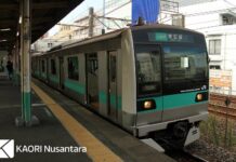 Menuju Masa Depan, JR East Pasang Sistem Automatic Train Operation di Jalur Joban KRL seri E233-2000 di Jalur Joban yang akan dipasang ATO (KAORI Nusantara/Farouq Adhari)